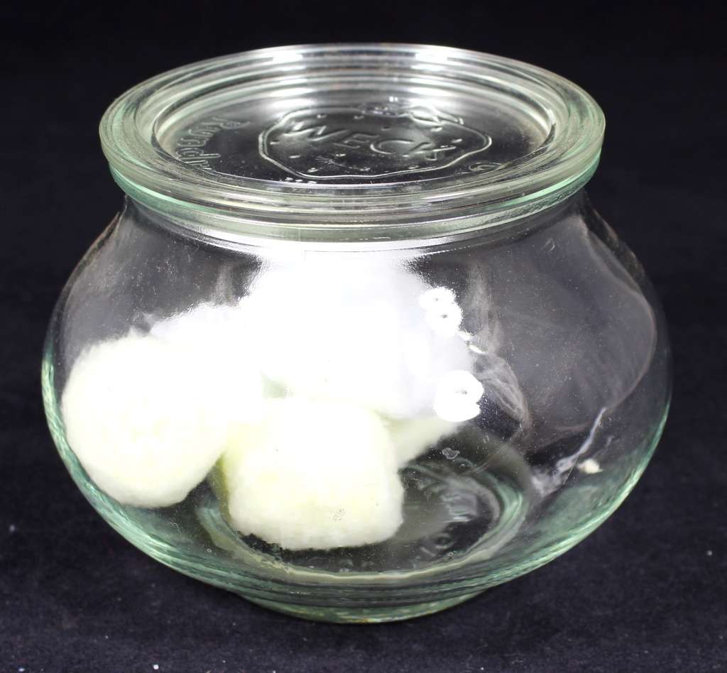 Weck lidded glass container