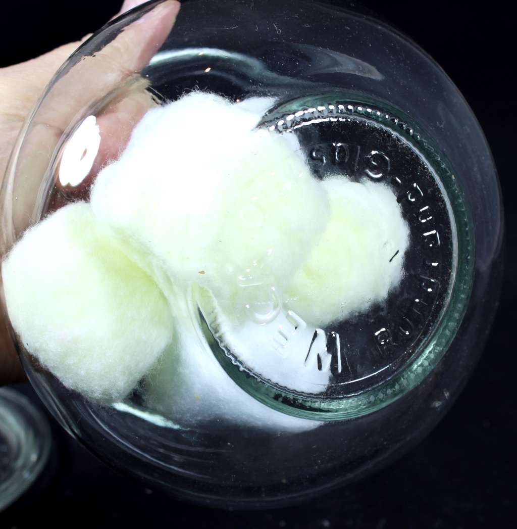 Weck lidded glass container