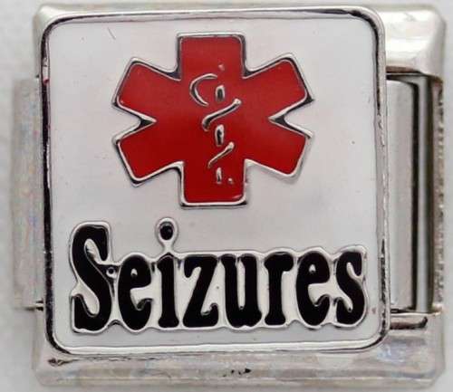 *Christmas Special* Italian charms - Medic Alert - Seizures