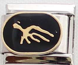 Italian charms (Fits Nomination) - Zodiac Aquarius