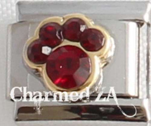 Italian charms - Paw Birthstone January (Fits Nomination)