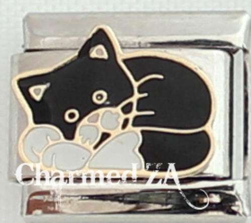 Italian charms - Black and White cat (Fits Nomination)