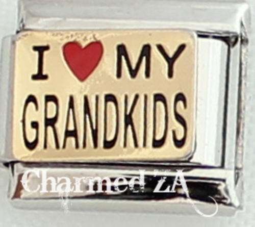 Italian charms - I love my grandkids (Fits Nomination)