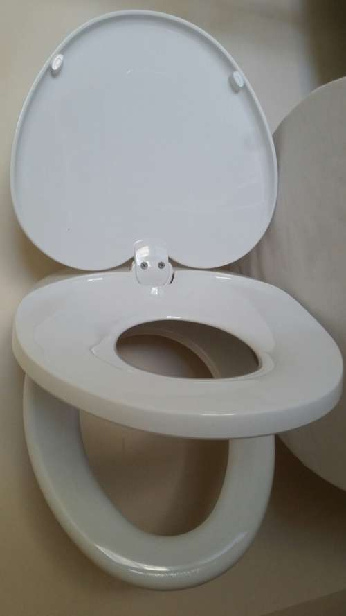 Dual family toilet seat ideal for potty training