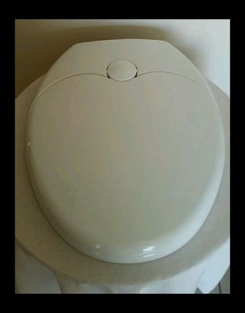 Dual family toilet seat ideal for potty training