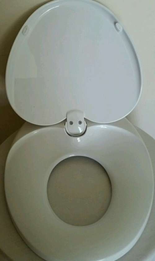 Dual family toilet seat ideal for potty training