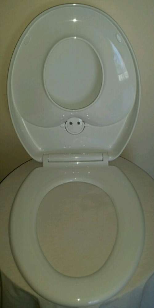 Dual family toilet seat ideal for potty training