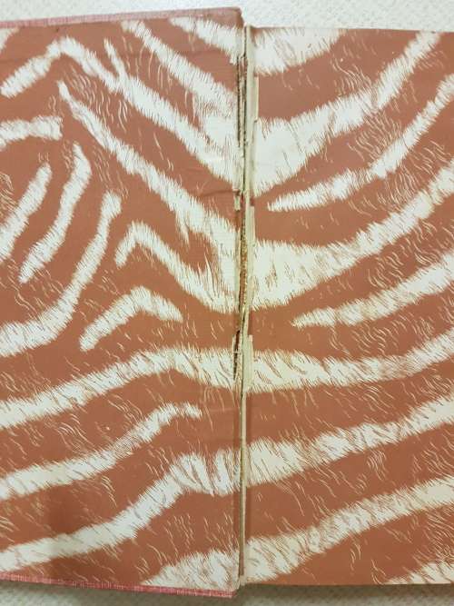 Sunshine & Storm in Rhodesia - By F.C. Selous