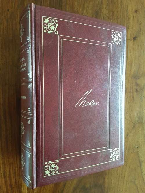 Winston Churchill The Struggle For Survival 1940-1965 Taken From The Diaries of Lord Moran