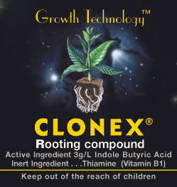 Clonex Rooting Gel, superior to everything else 1ml