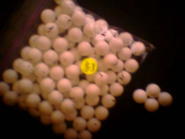 Solid balls for use in Pepper Guns (Quantity of (450) Free Shipping
