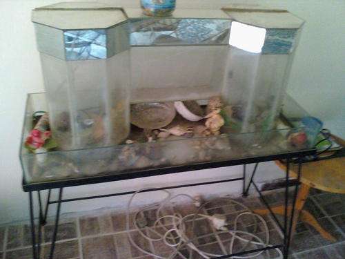 FISH TANK ON STAND