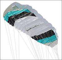 Power kite-2.75m Quad line  - SA Postage included