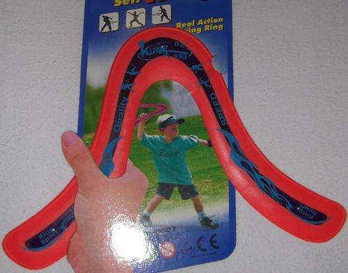 Astonishing boomerang - SA Postage included