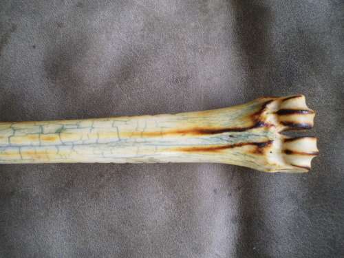 Costume Hand Made Antique Stone Blade Giraffe Bone Handle Collectors Display Knife