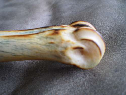 Costume Hand Made Antique Stone Blade Giraffe Bone Handle Collectors Display Knife