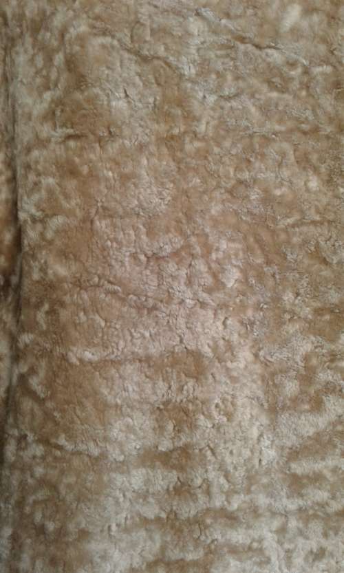 Vintage Original 1960s Golden Persian Lamb Karakul Genuine Fur Coat With Mink Collar Size 14