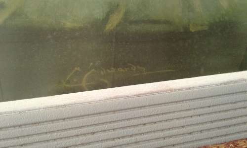 Vintage Large 1950s Carlotta Edwards Midcentury Swan Lake Ballerina Print Framed Under Glass