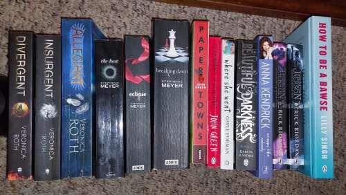 14 piece Young Adult (YA) Book Collection.