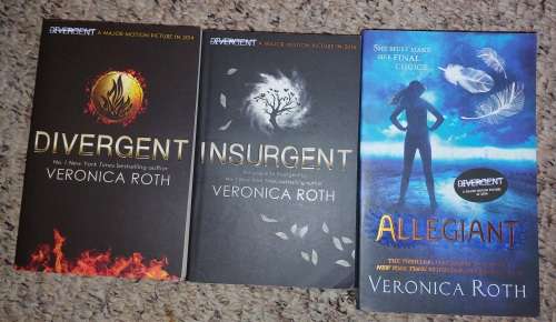 14 piece Young Adult (YA) Book Collection.