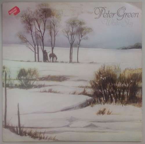 PETER GREEN - WHITE SKY - VINYL LP