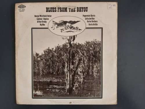 VARIOUS - BLUES FROM THE BAYOU - VINYL LP