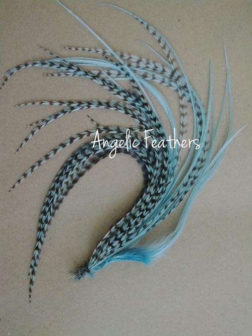 5 X FEATHER HAIR EXTENSIONS - TEAL