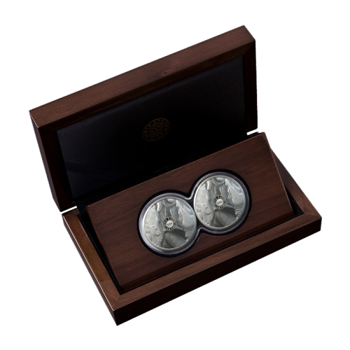 2020 BIG 5 RHINO PROOF SET