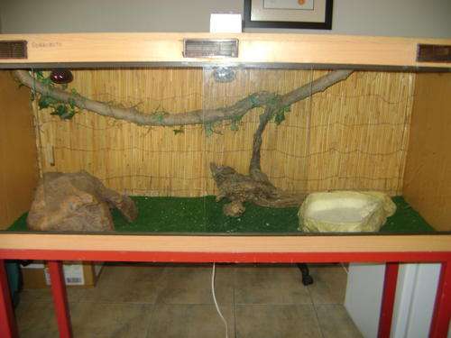 Bearded Dragon Cage + Accessories @ R1!!!!!!!!!!! No Reserve!!!