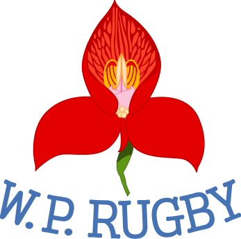 SET OF WESTERN PROVINCE INFLATABLE/RE-USABLE CHEER STICK/THUNDERSTICK