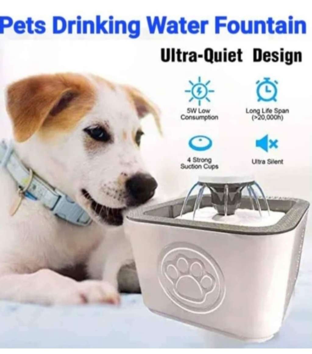 Pets Drinking Water Fountain