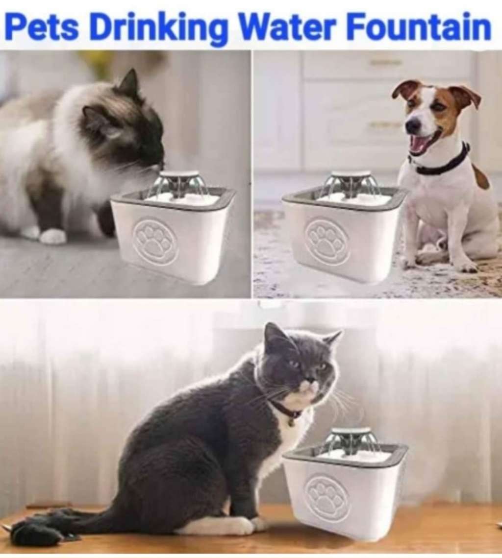 Pets Drinking Water Fountain
