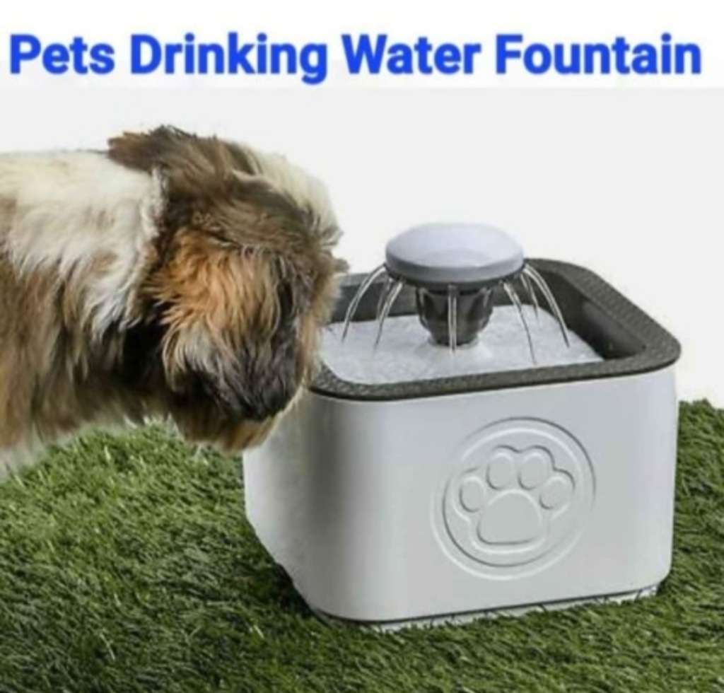 Pets Drinking Water Fountain