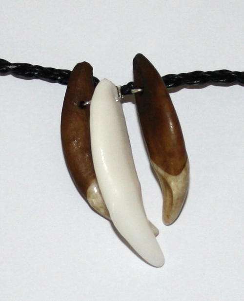Wolf Teeth Necklace