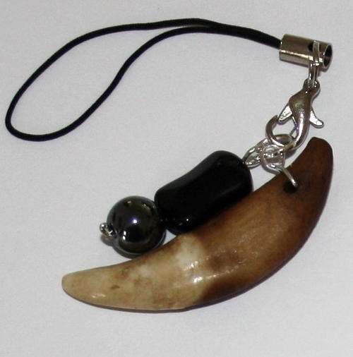 Wolf Teeth Charm Brown