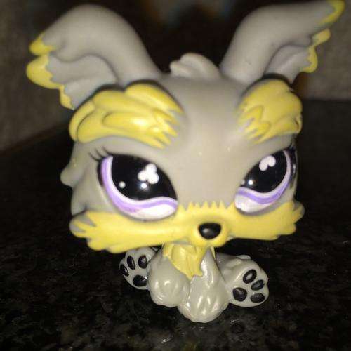 Littlest Pet Shop Figure