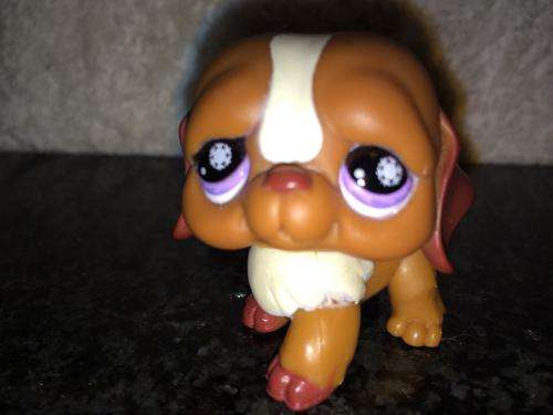 Littlest Pet Shop Figure
