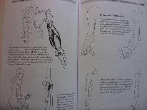 Anatomy of Movement by Blandine Calais-Germain - postage included
