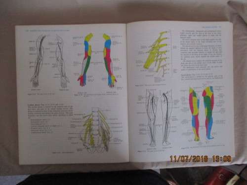 Anatomy and Physiology in health and illness by Ross & Kathleen Wilson - 6th ED