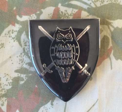 SADF Military Intelligence HQ shoulder flash