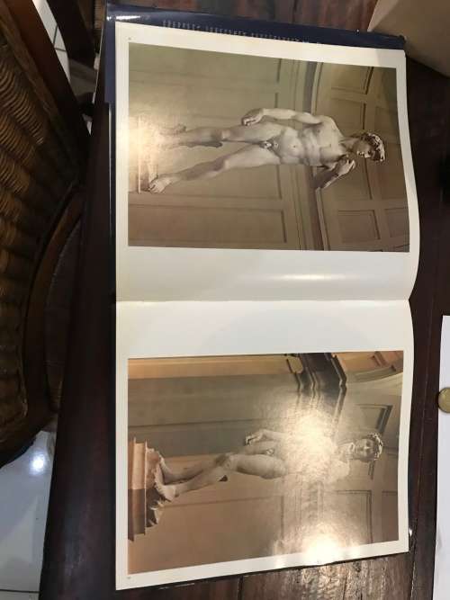 MICHAELANGELO. ( Book. - 53 COLOR PLATES )