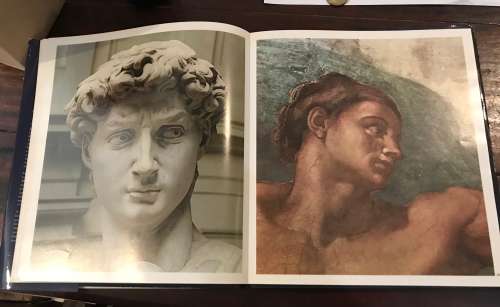 MICHAELANGELO. ( Book. - 53 COLOR PLATES )