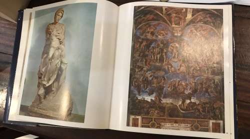 MICHAELANGELO. ( Book. - 53 COLOR PLATES )