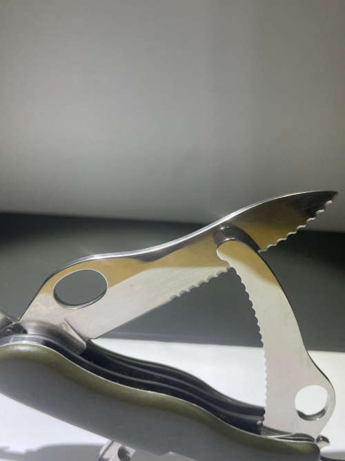 Dutch Army Victorinox