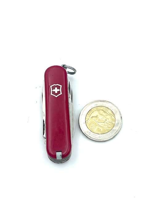 Victorinox Mini Champ