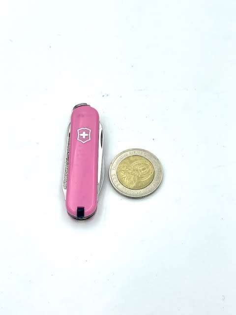 Victorinox Rambler Pink  58mm