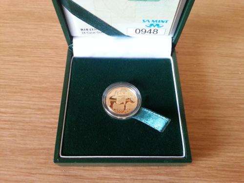 1/10th Natura Rhino 2010