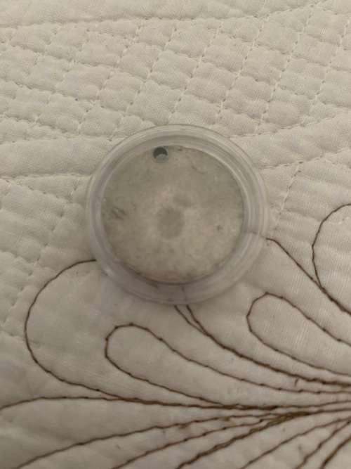 Gandhi Medallion *International buyers welcome*