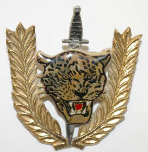 EXECUTIVE OUTCOMES- 2 PINS