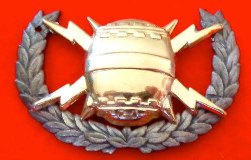 SA Navy Mine Counter Measures badge - original pins